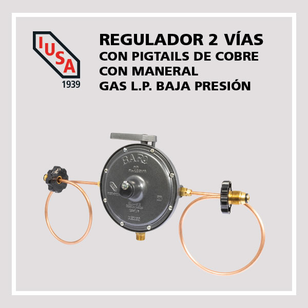 Brillar preocuparse Arena IUSA | REGULADOR 2 VÍAS BAJA PRESIÓN, MODELO 201 PSMC